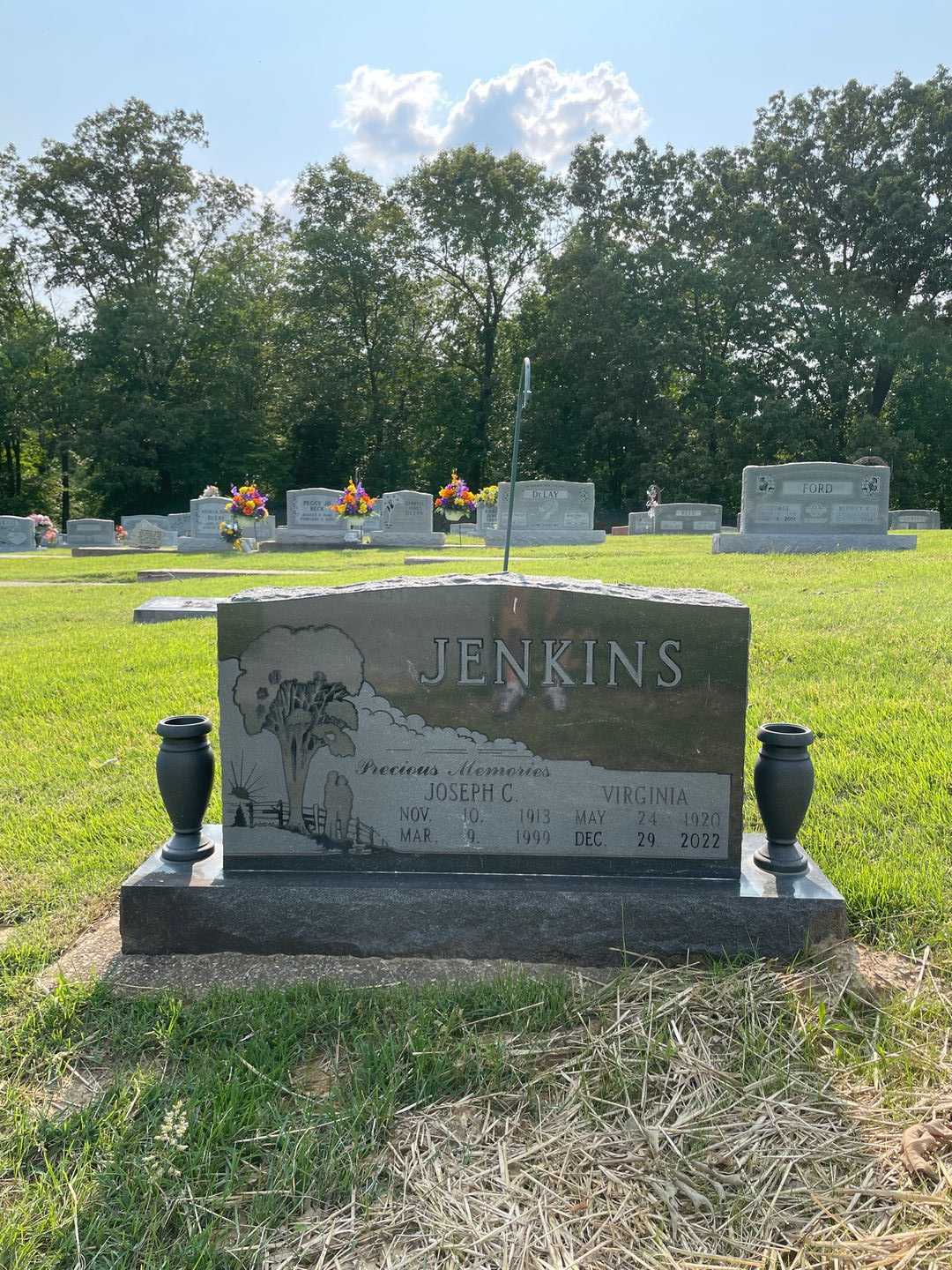 Joseph C. "Joe" Jenkins's grave. Photo 1