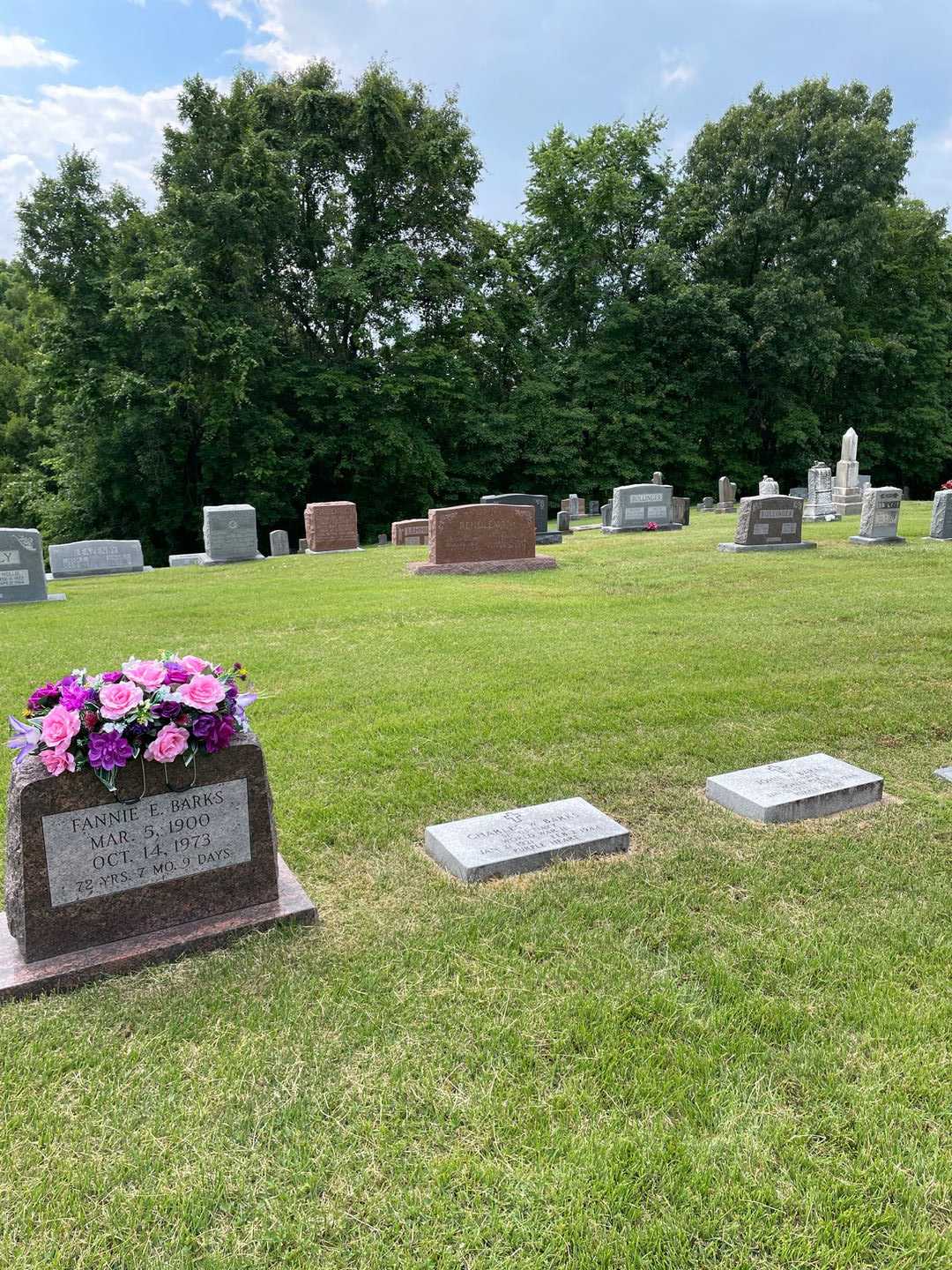 Charles W. Barks's grave. Photo 2