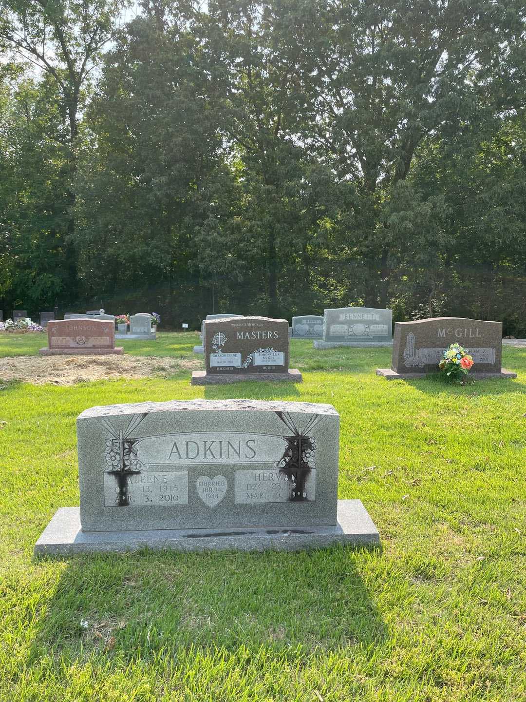 Aleene Adkins's grave. Photo 3