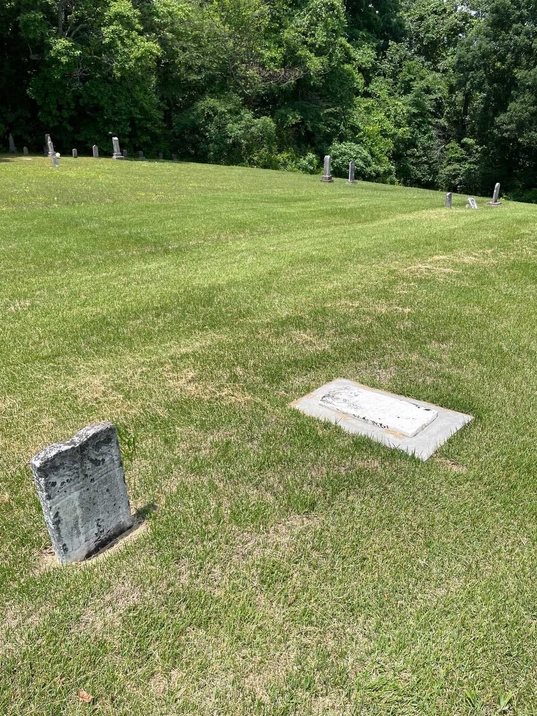 William Kinman's grave. Photo 2