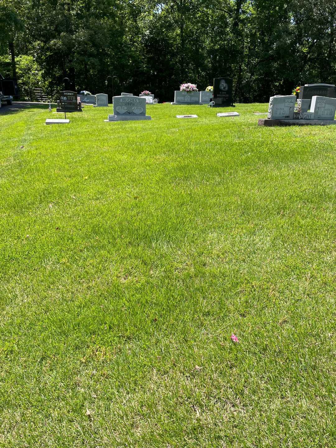 Gary Neisworthy's grave. Photo 2