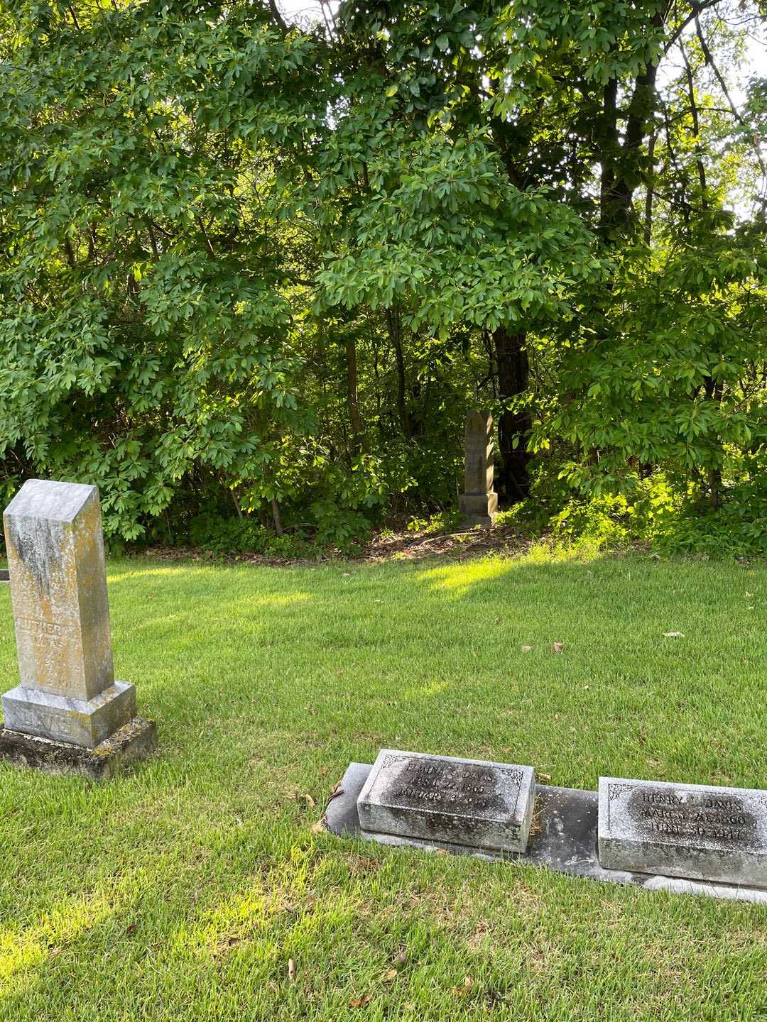 Elmina C. Davis's grave. Photo 2