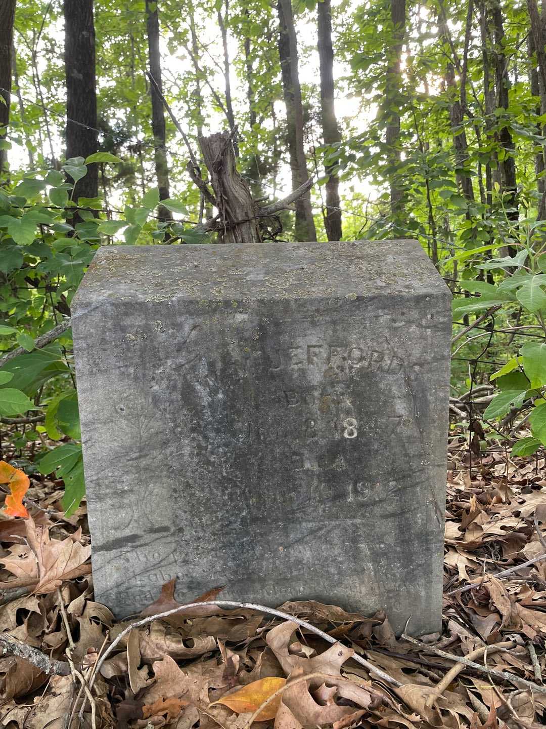 Wm. Jeffords's grave. Photo 1