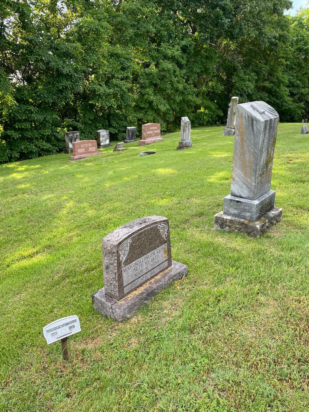 Danyal R. Goad's grave. Photo 2