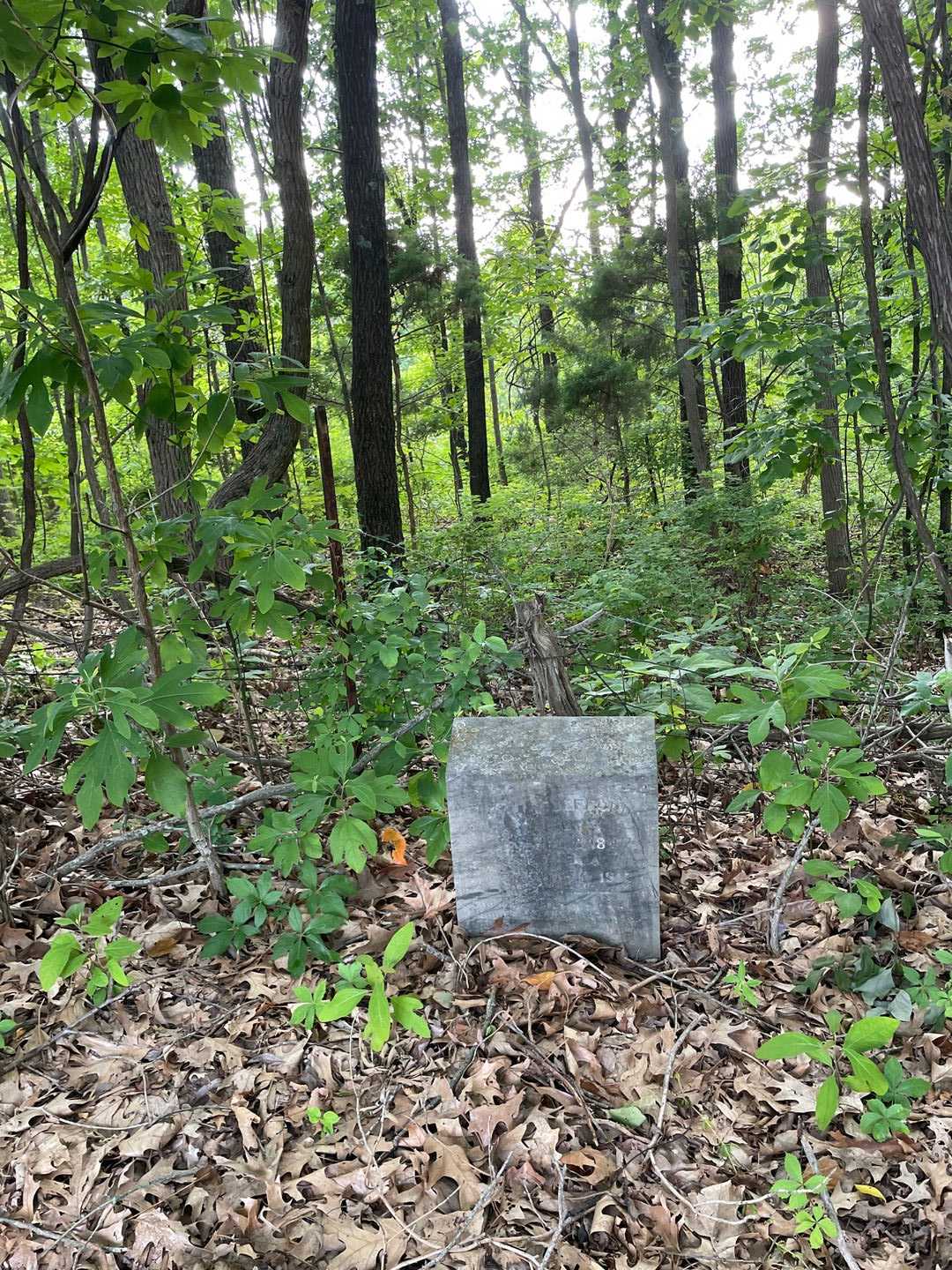 Wm. Jeffords's grave. Photo 2