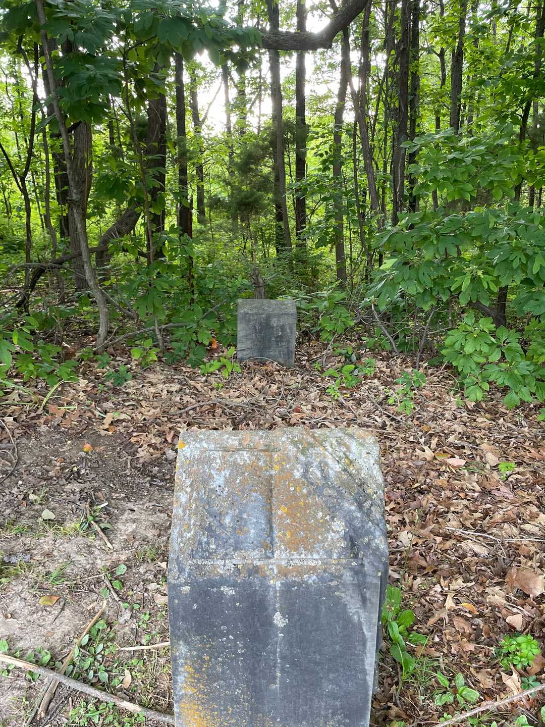 Wm. Jeffords's grave. Photo 3