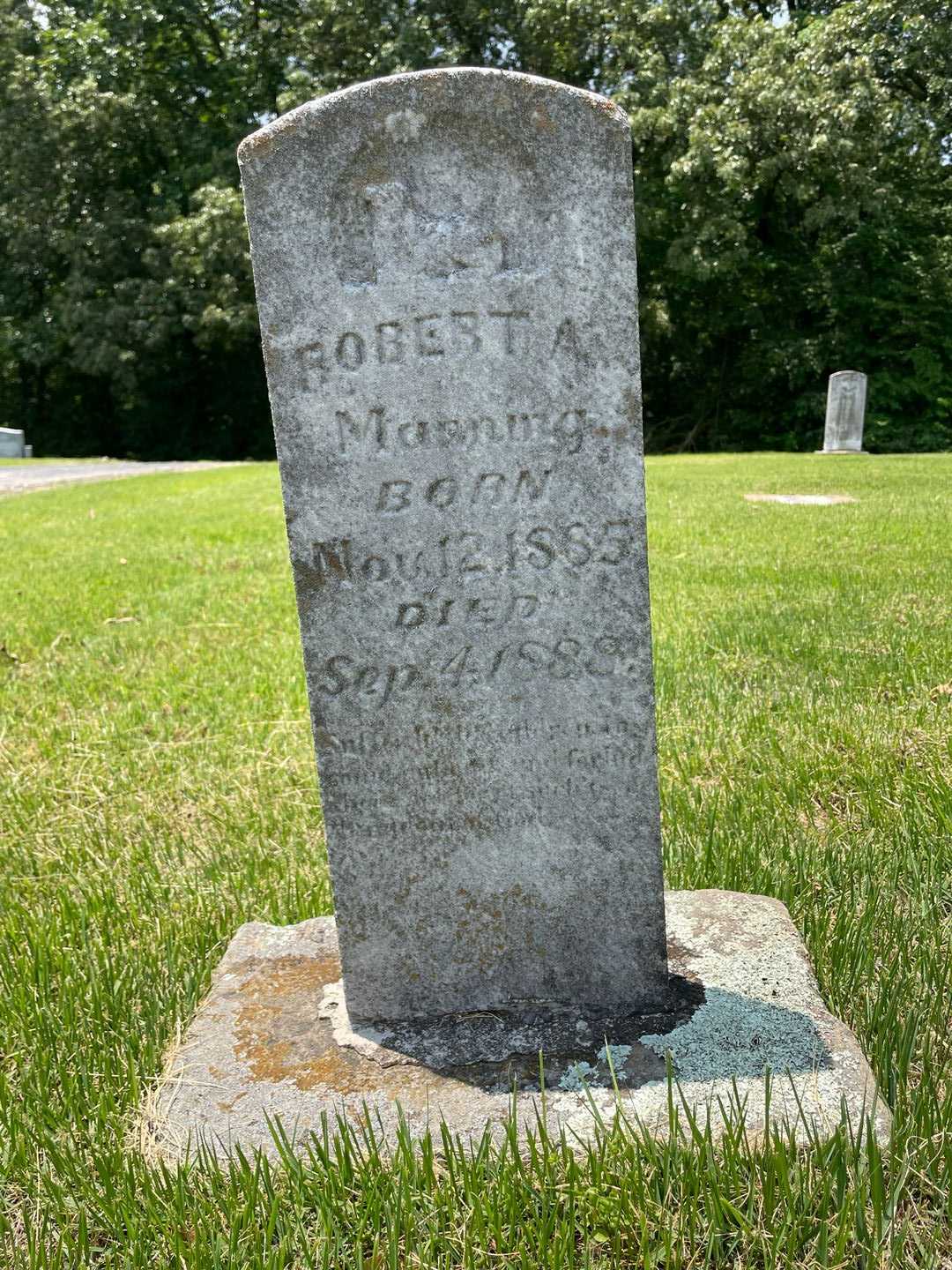 Robert A. Manning's grave. Photo 1