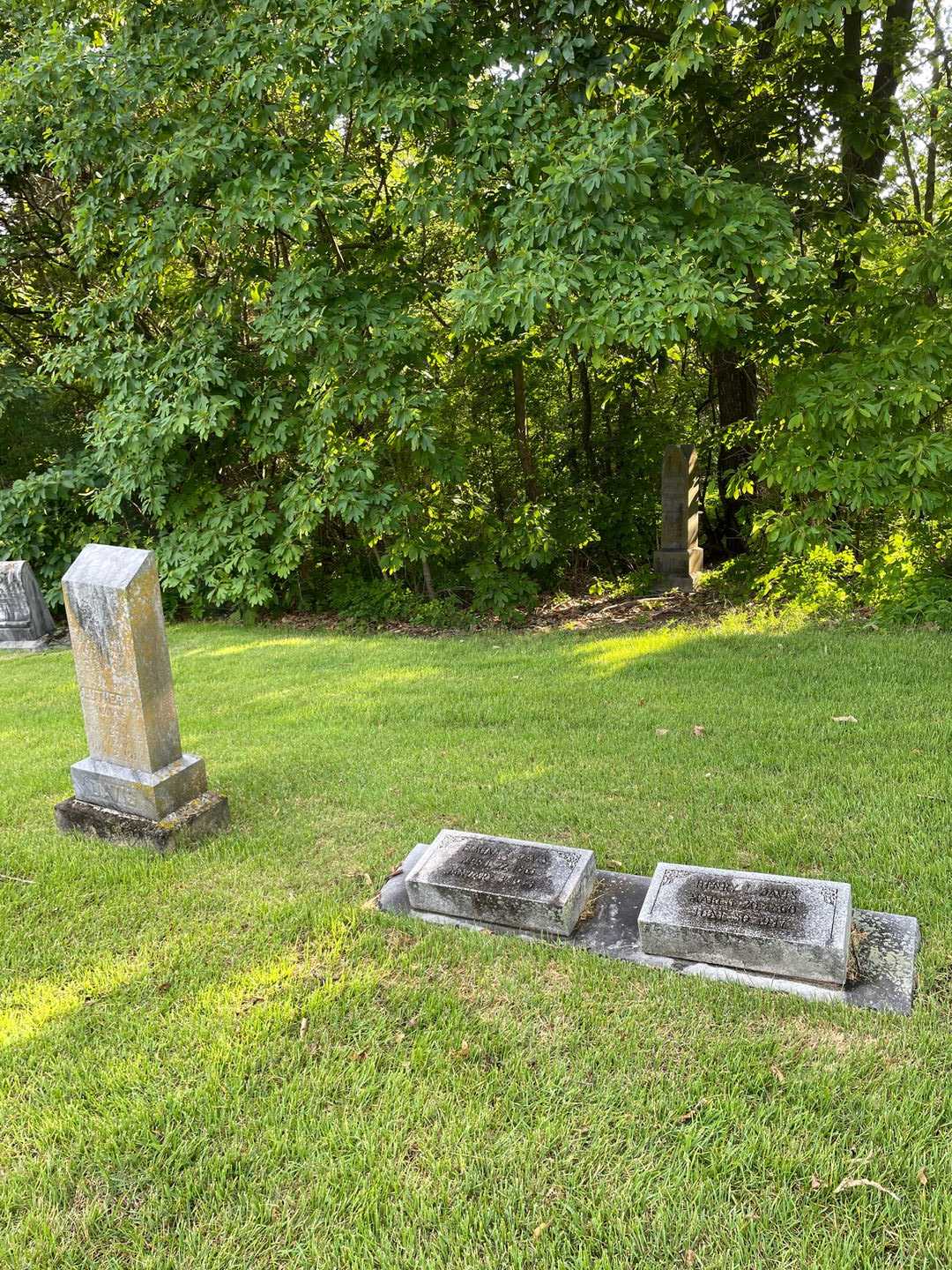 Henry L. Davis's grave. Photo 2