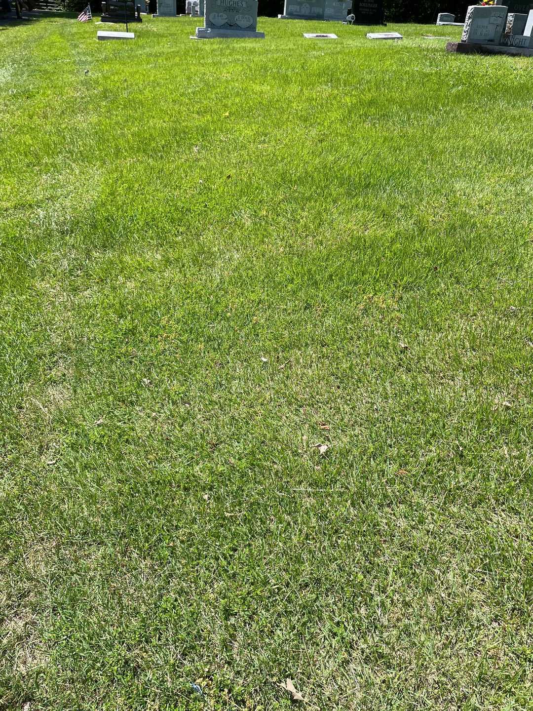 Pamela Kim Jobe's grave. Photo 1