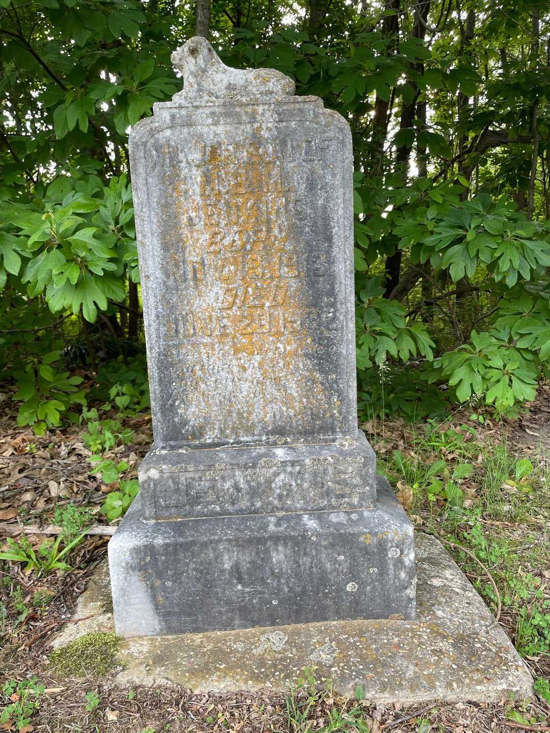 Major Jenkins's grave. Photo 1