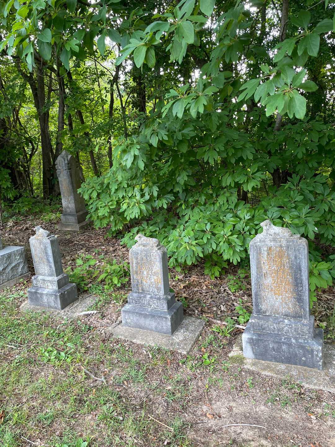 Major Jenkins's grave. Photo 2