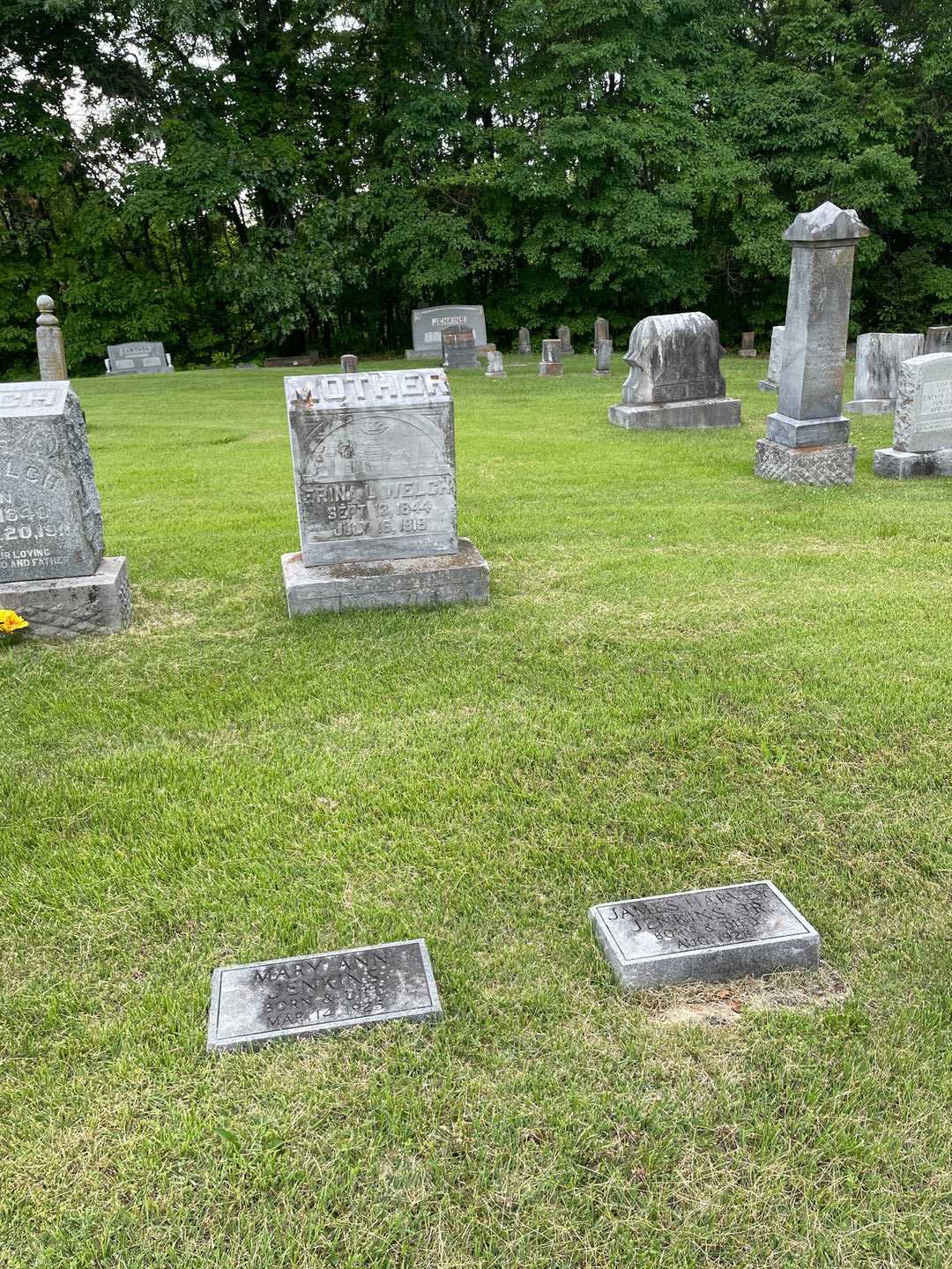 Mary Ann Jenkins's grave. Photo 2