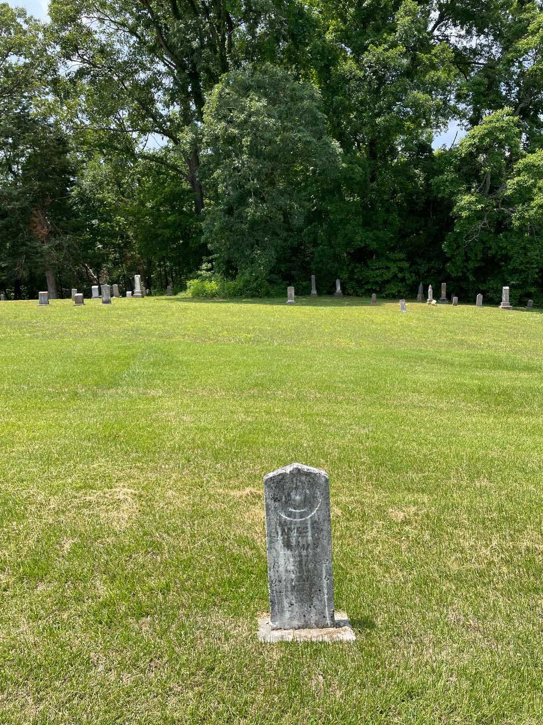 James W. Kinman's grave. Photo 2