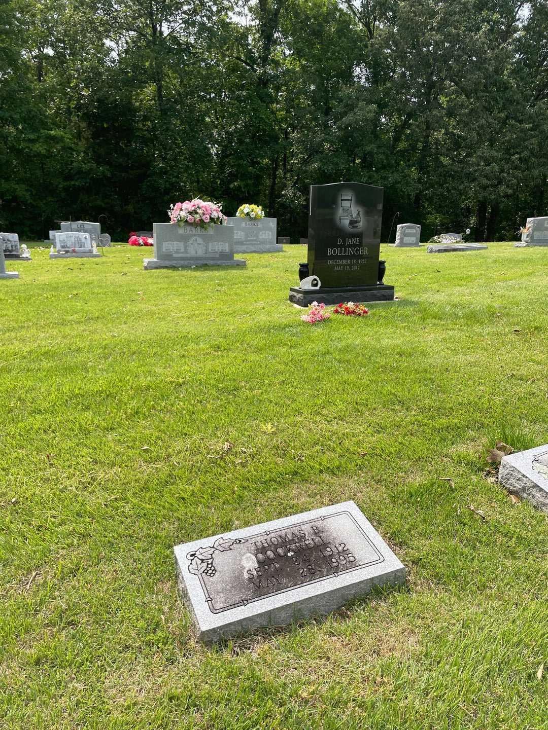 Thomas Beuford Cockrell's grave. Photo 2