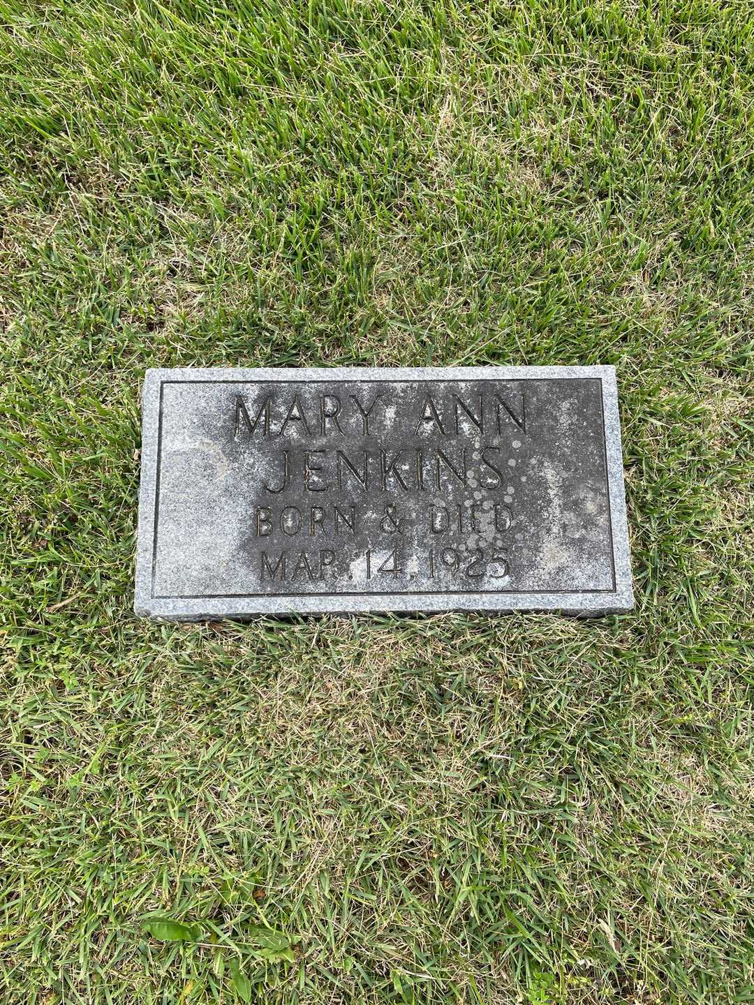 Mary Ann Jenkins's grave. Photo 1