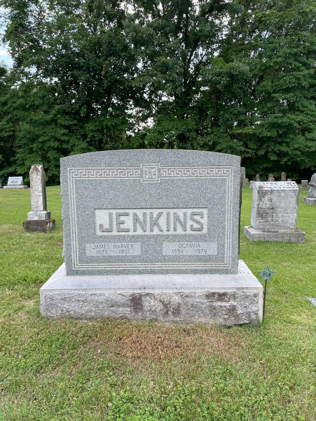 James Harvey Jenkins's grave. Photo 1