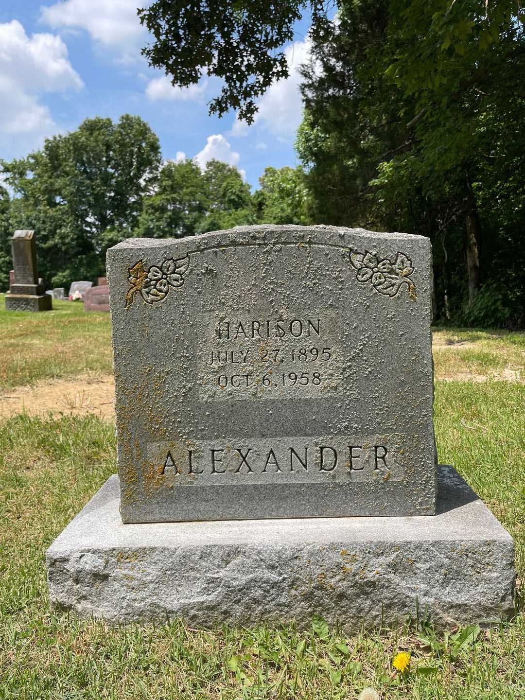 Harison Alexander's grave. Photo 1