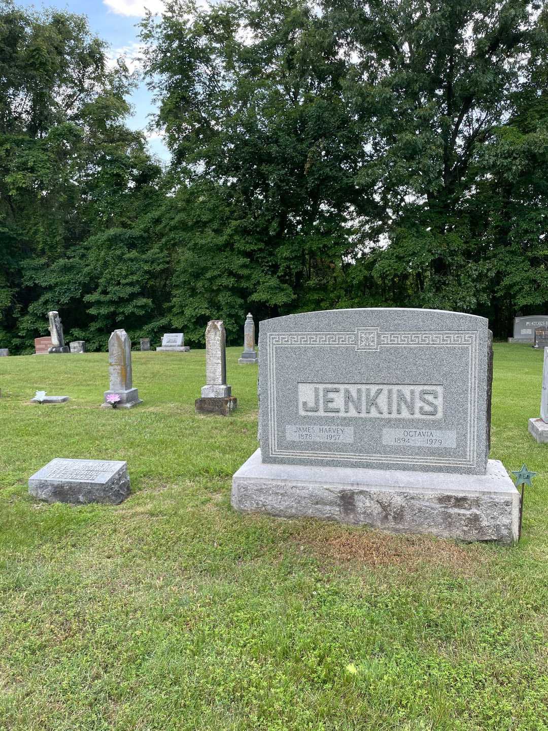 James Harvey Jenkins's grave. Photo 2