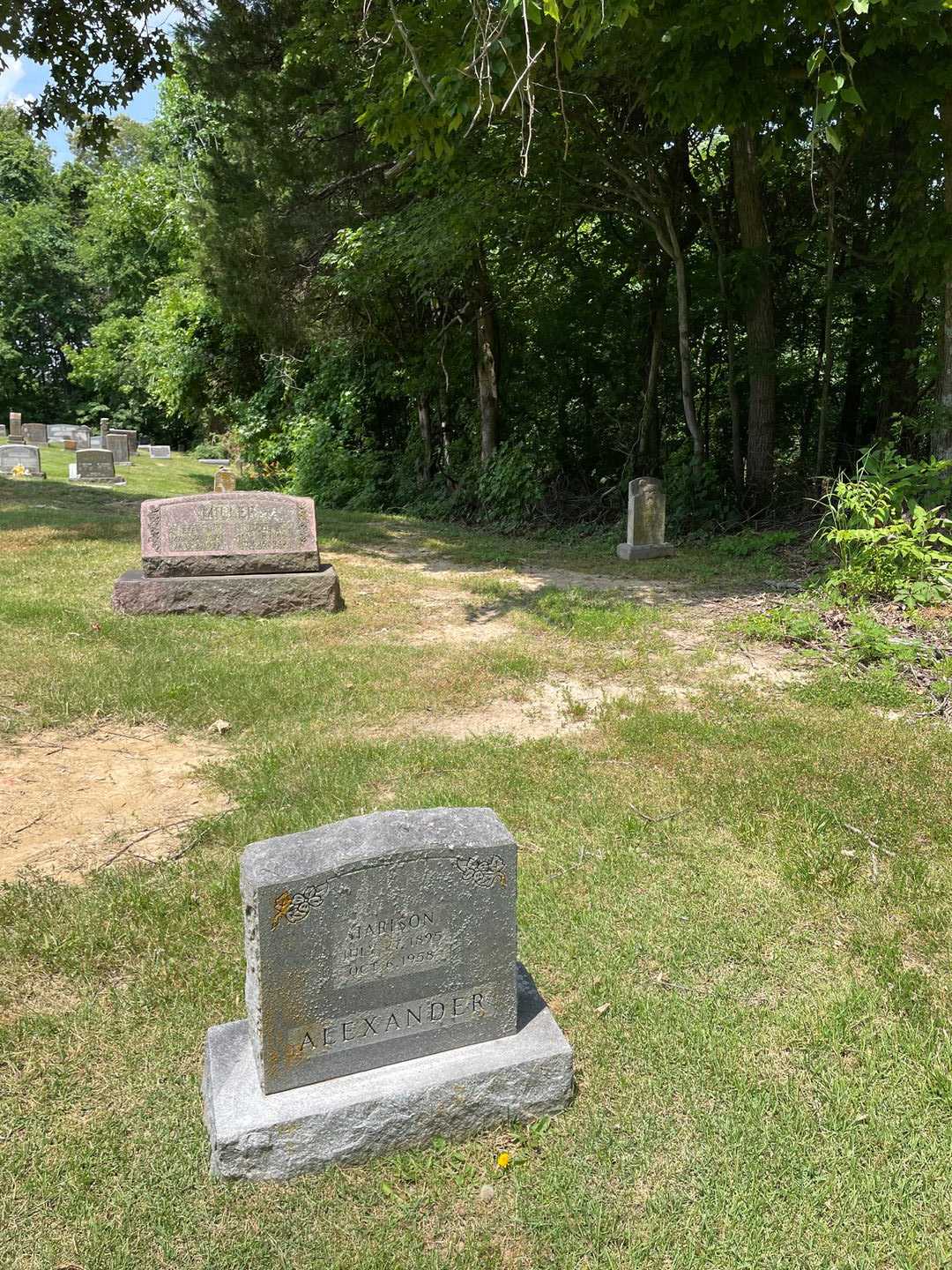 Harison Alexander's grave. Photo 2