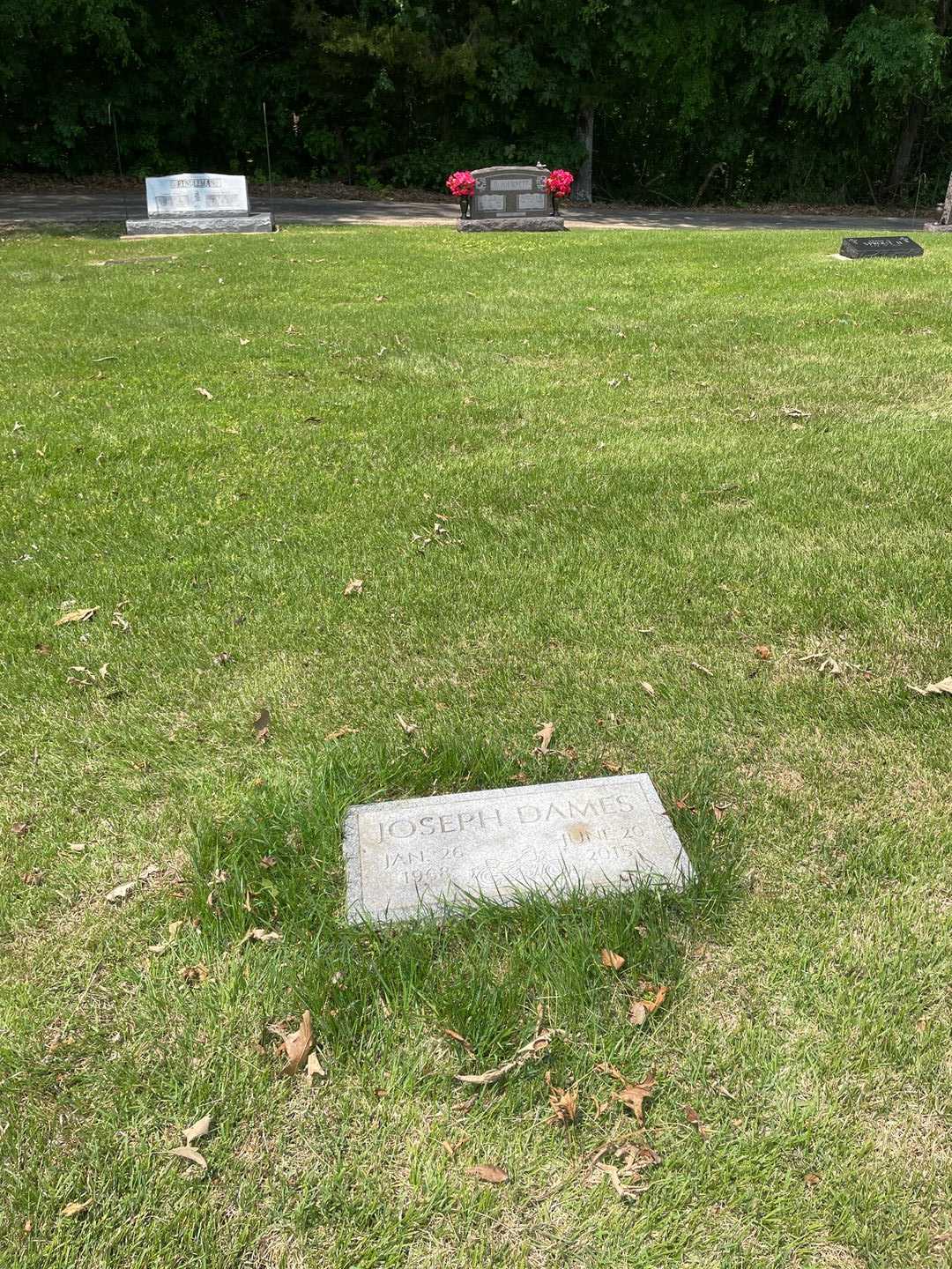 Joseph Dames's grave. Photo 2