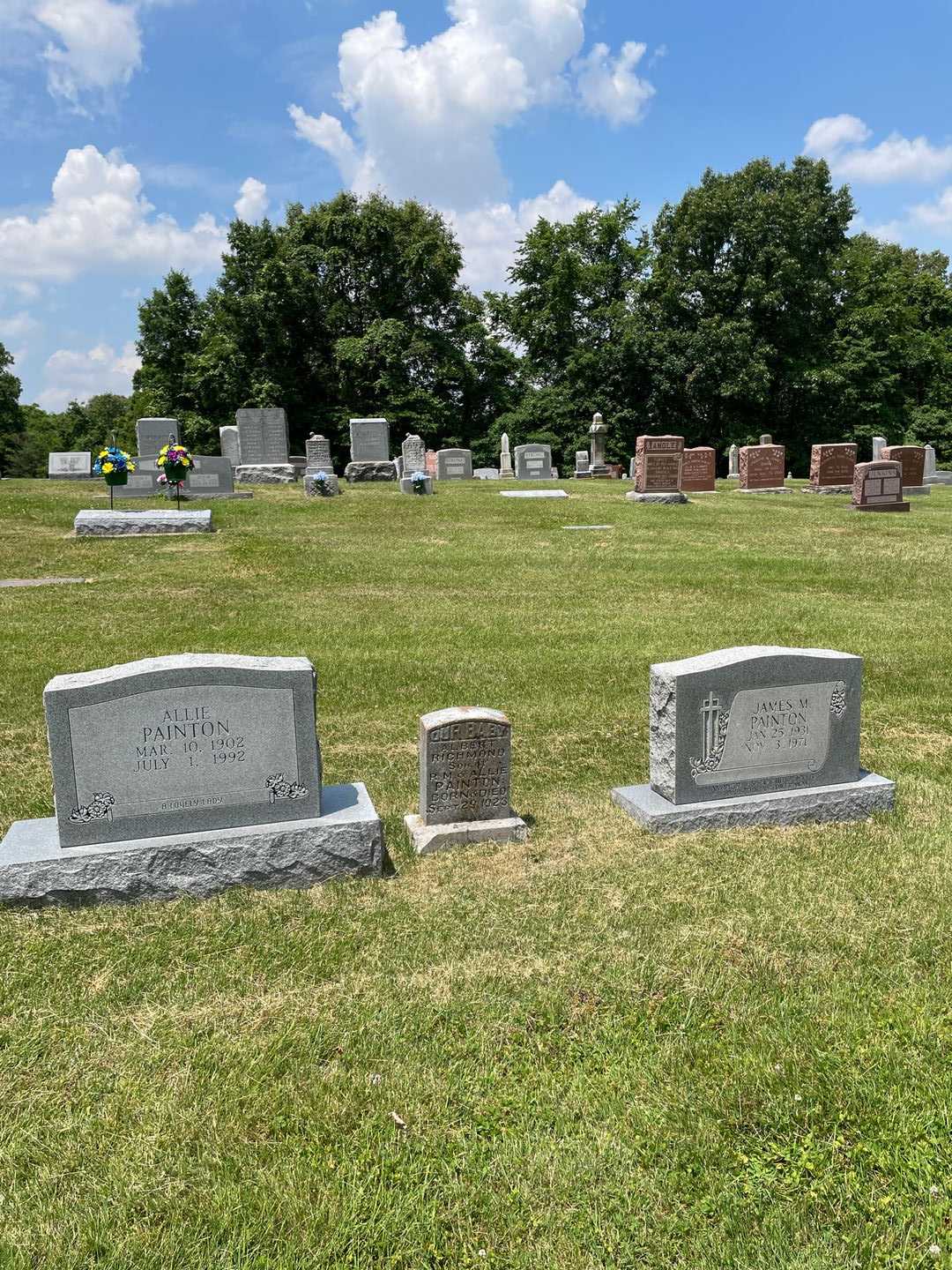 Albert Richmond Painton's grave. Photo 2