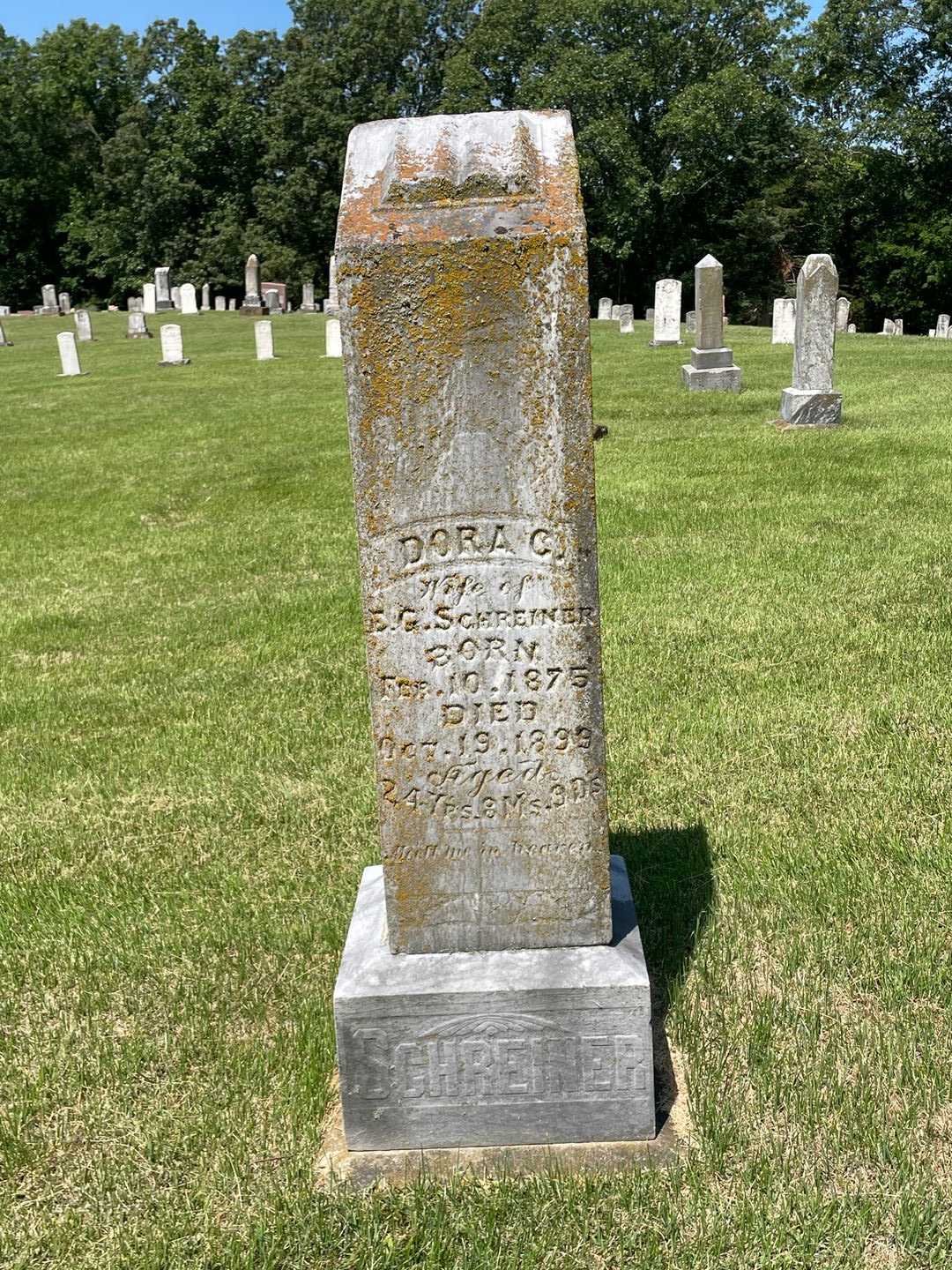 Dora C. Schreiner's grave. Photo 1