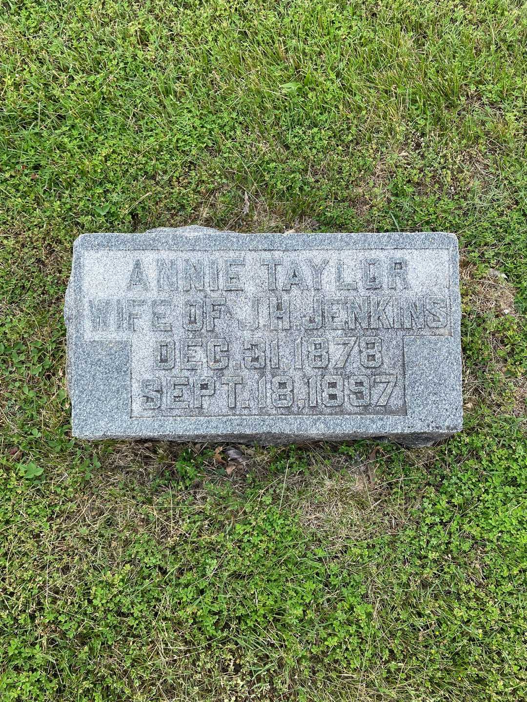 Annie Taylor Jenkins's grave. Photo 1