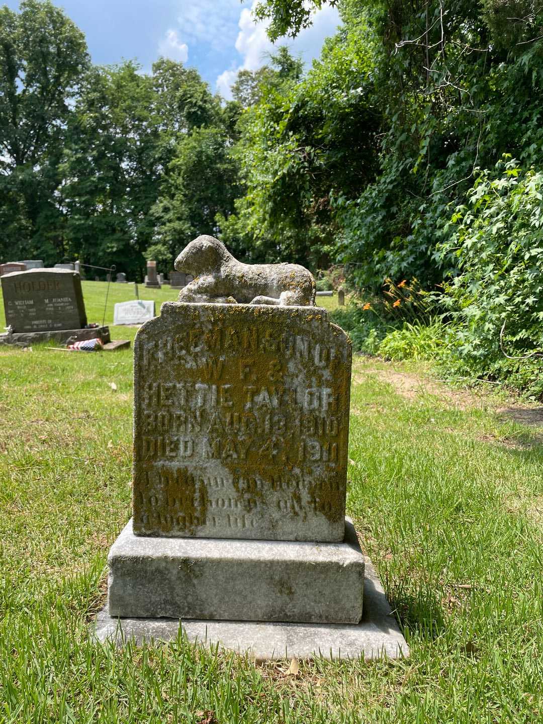 Freeman Taylor's grave. Photo 1