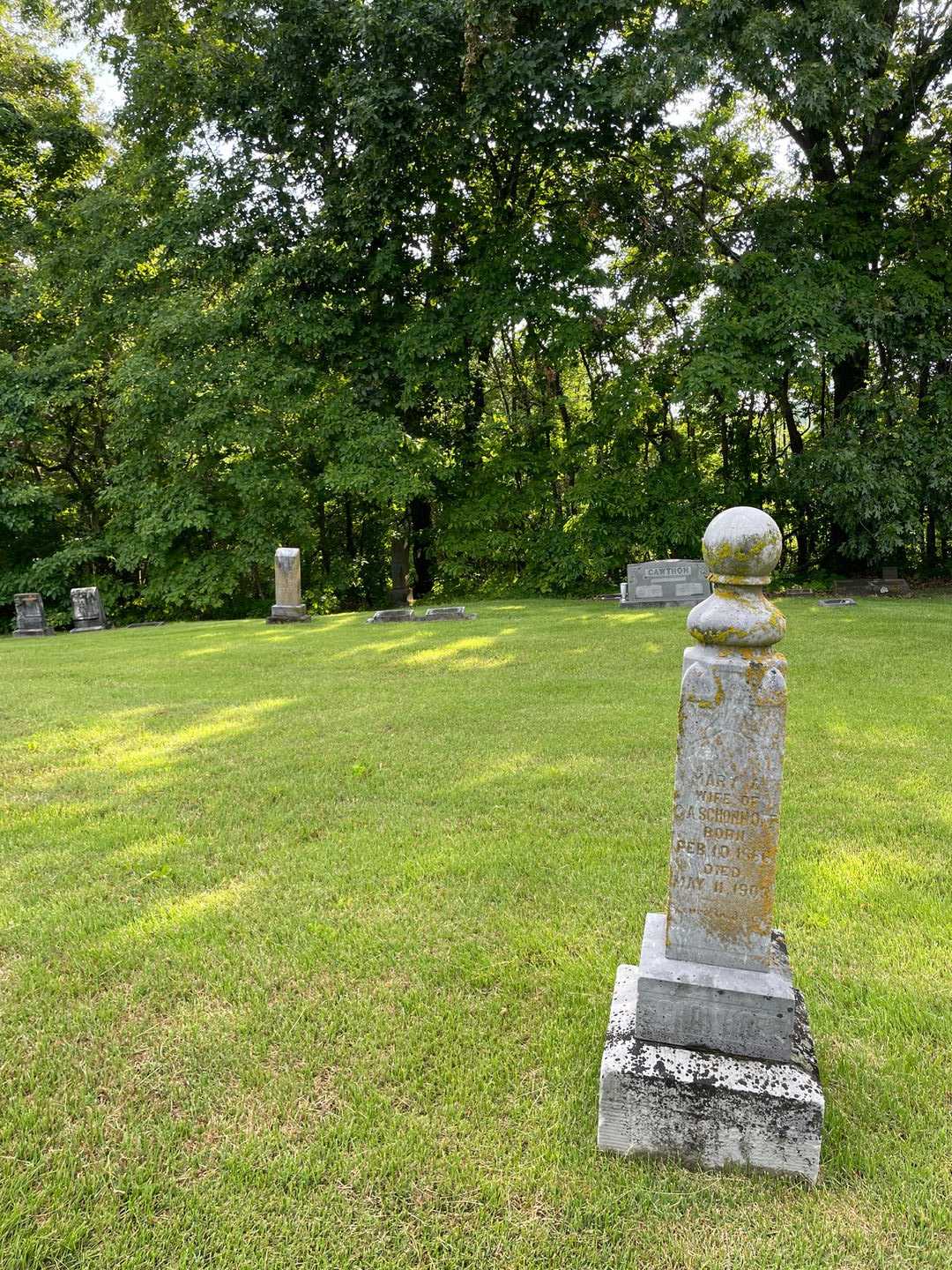 Mary A. Schonhoff's grave. Photo 2