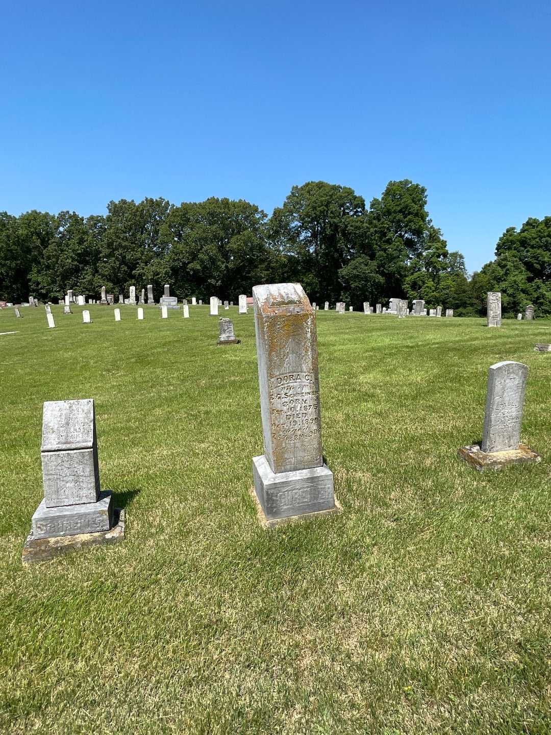 Dora C. Schreiner's grave. Photo 2