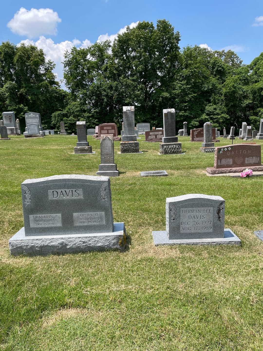 Herman Lee Davis's grave. Photo 2