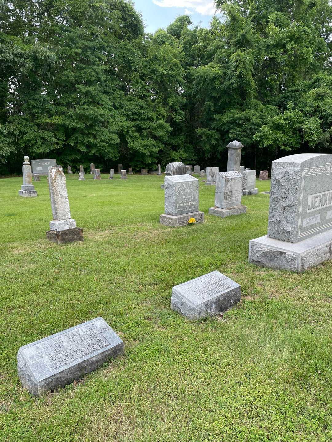 Annie Taylor Jenkins's grave. Photo 2